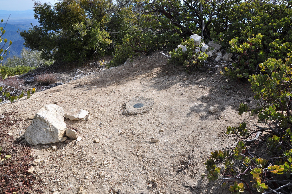 活動量追蹤與調整技巧