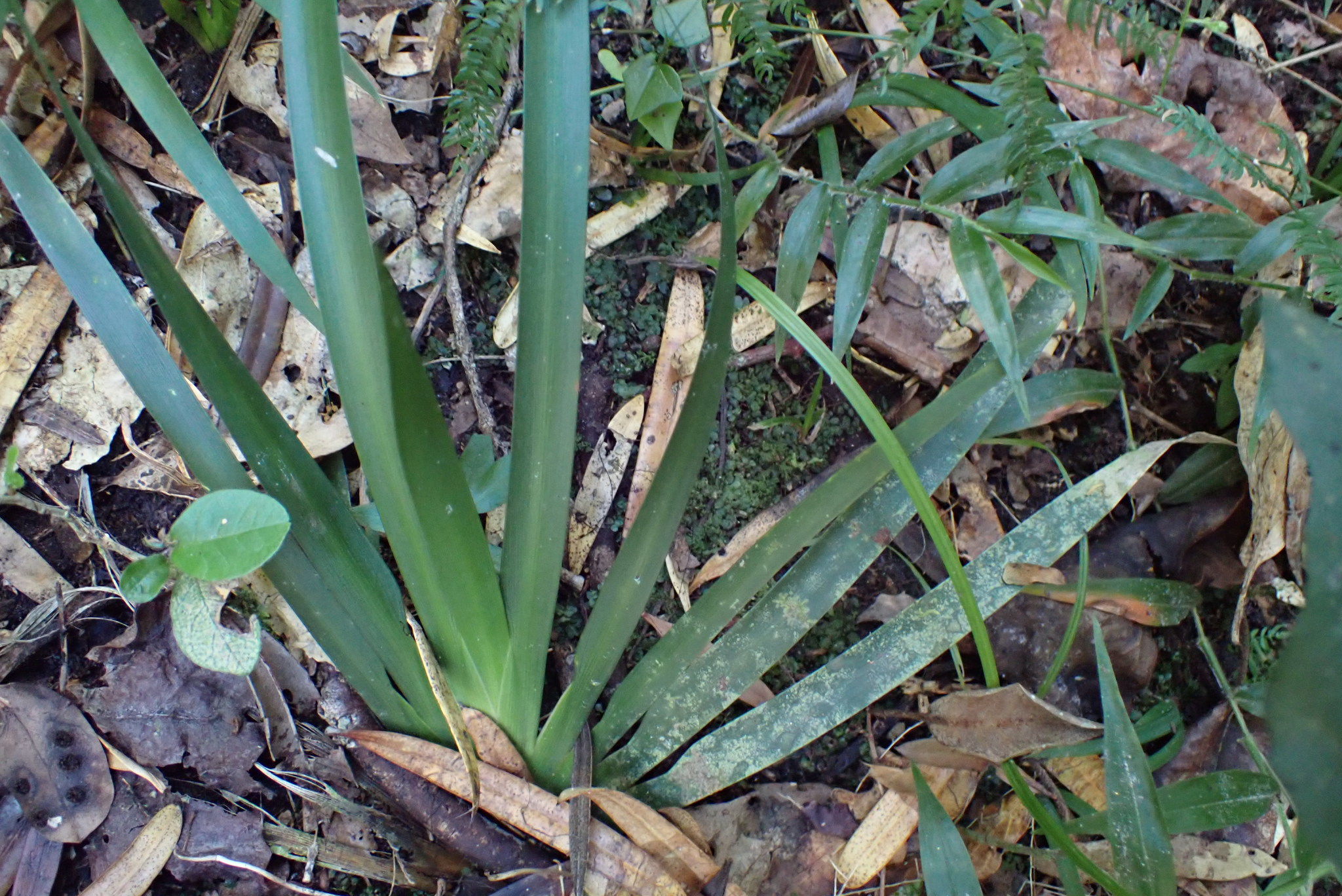 減重流行飲食的真相